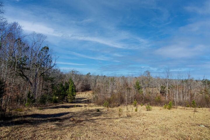Property Photo: Tract 5 - 0 Chestnut Grove Road GA 31826