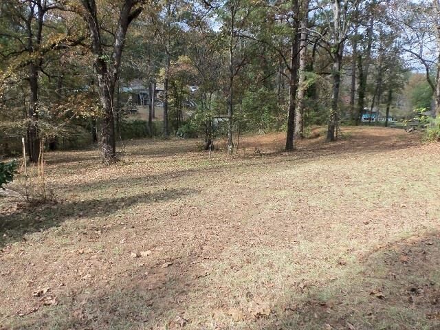 Property Photo:  Tbd Lake Florey Road  TX 75662 