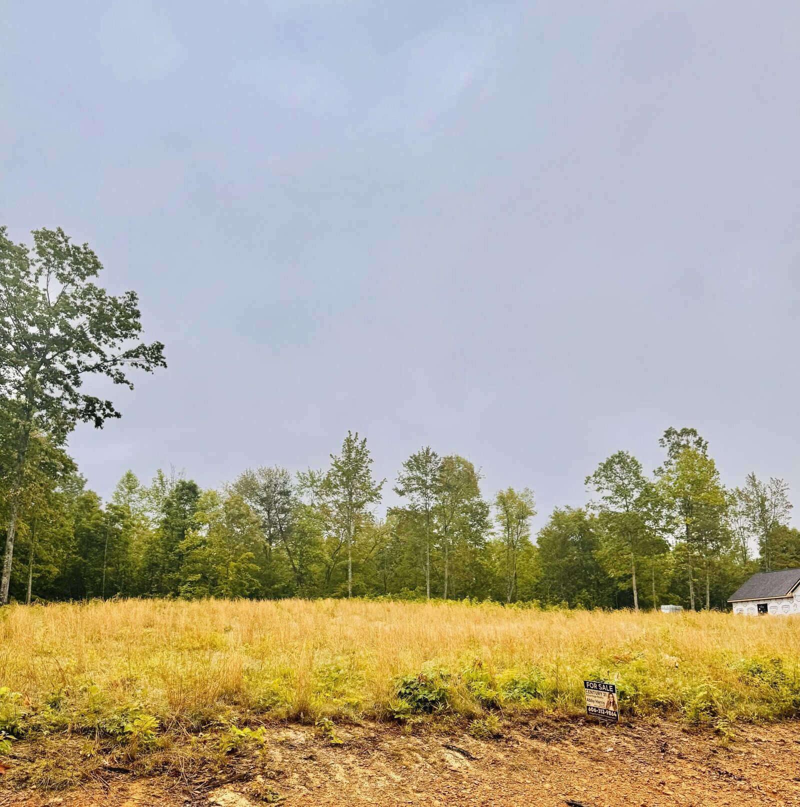 Property Photo:  P-3 Twins Pond Road Lot 58  KY 40701 
