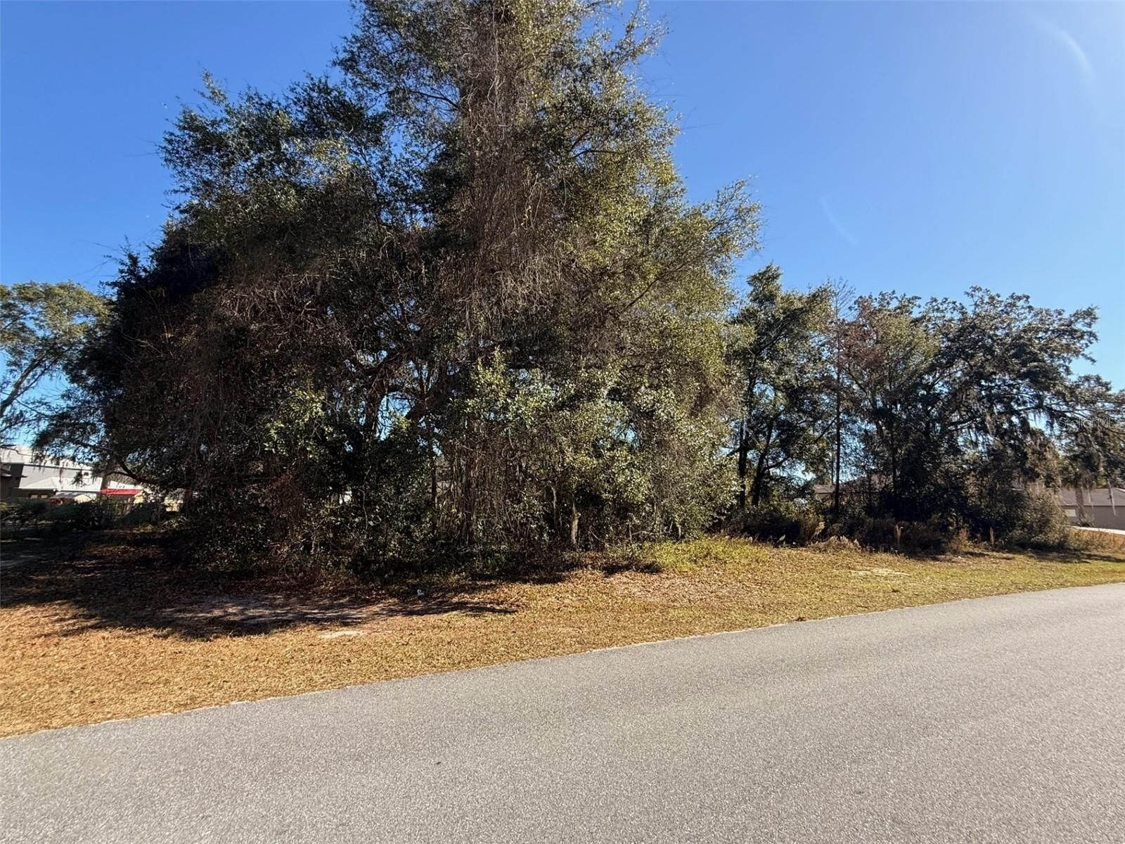 Property Photo:  Southwest 43 Ave  FL 34473 