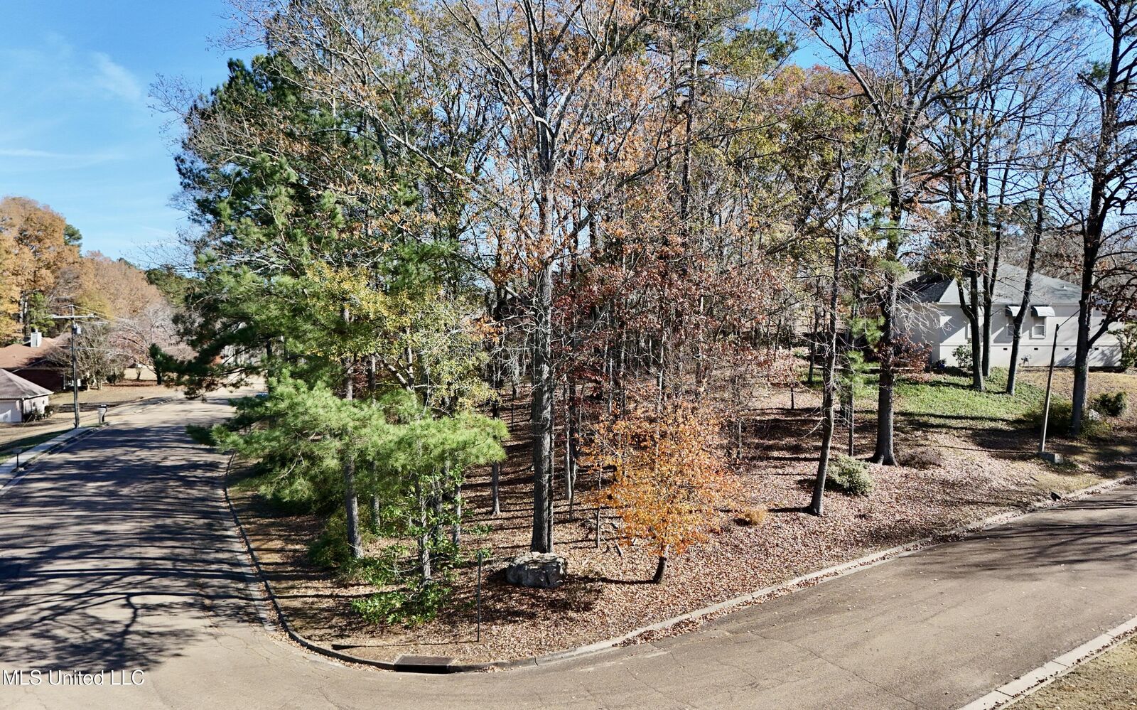 Property Photo: 0 Brighton Drive MS 39056