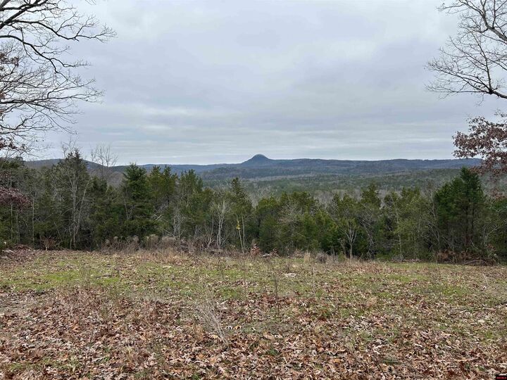 Property Photo:  6895 Jumbo Road  AR 72566 