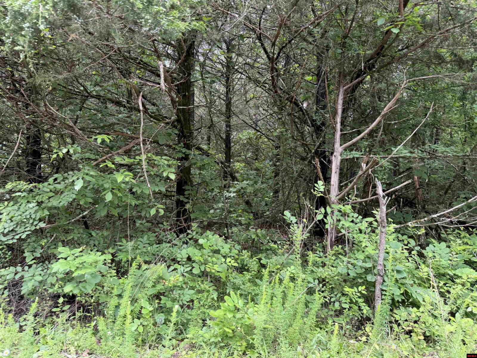 Property Photo: 705-26034-000 Clark Lane AR 72512