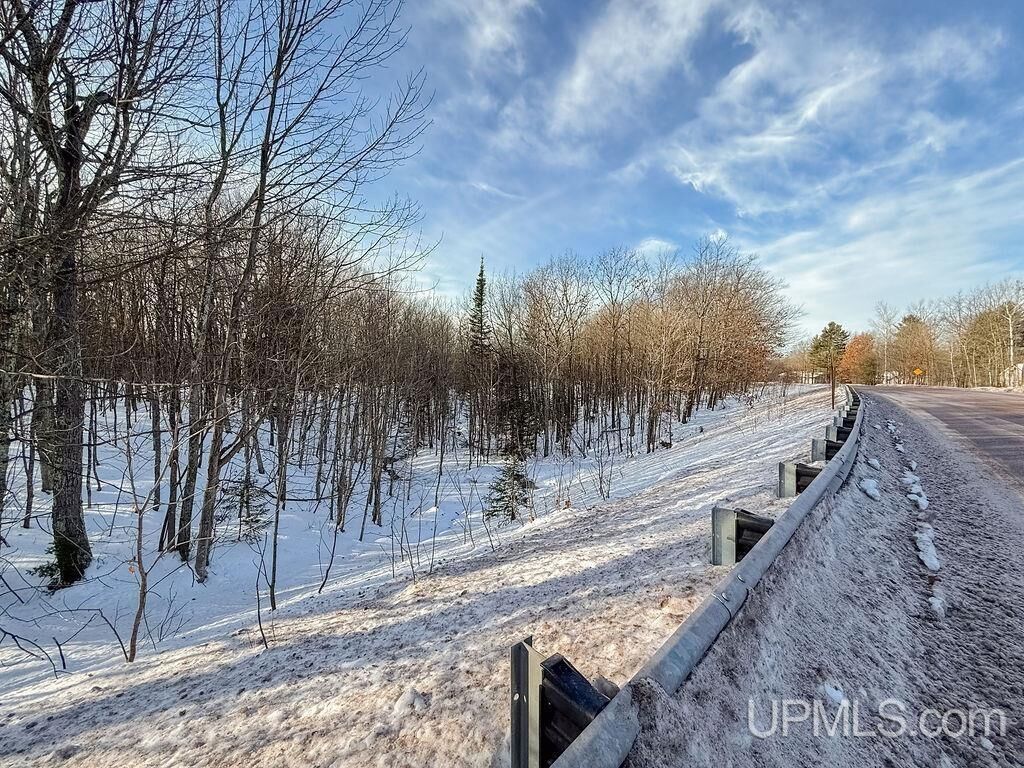 Property Photo:  Tbd-1 Green Acres Road  MI 49930 