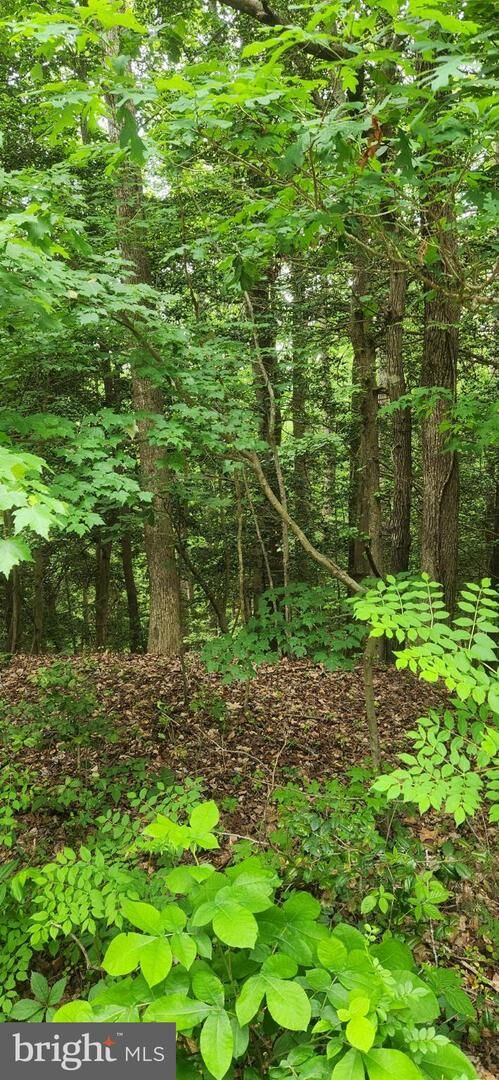Property Photo: Lot 68 Traveler's Circle VA 22520