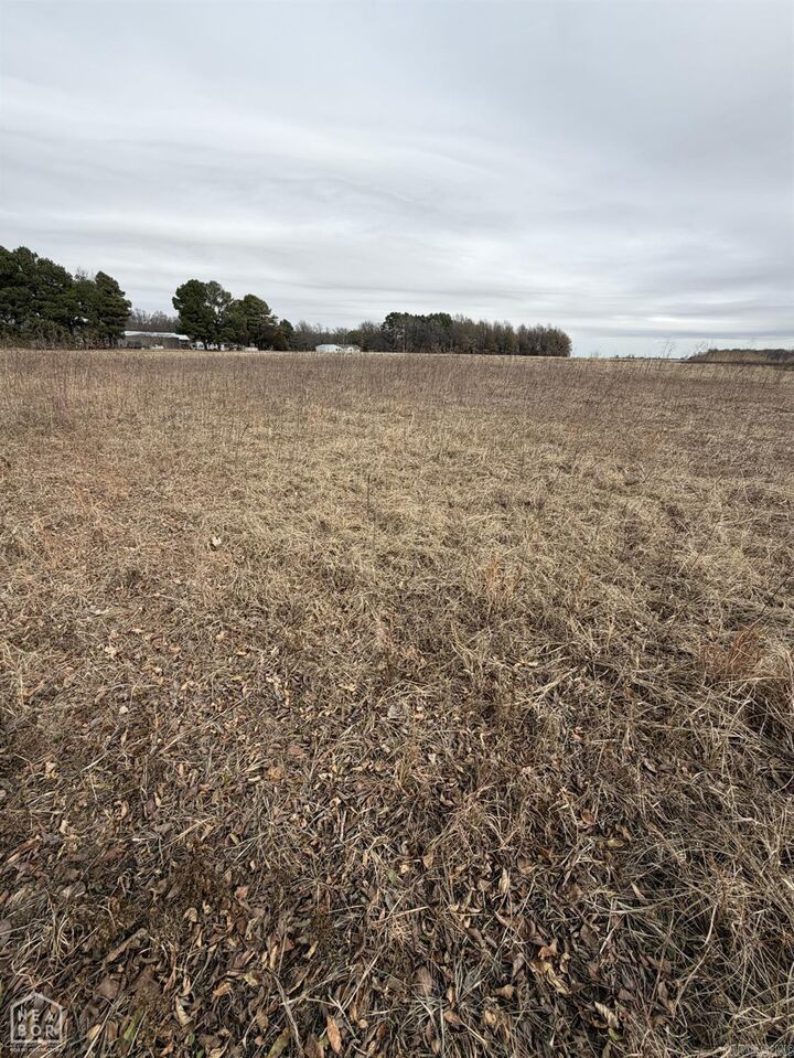 Property Photo:  1 South Hwy 91  AR 72476 