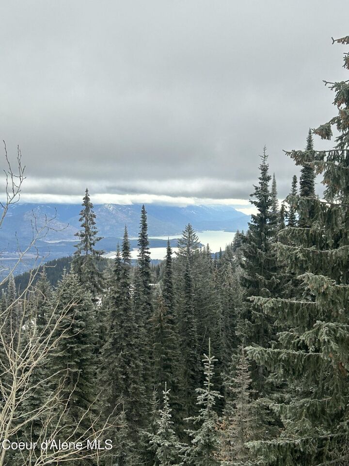 Property Photo:  L3 B2 Tall Timber Rd  ID 83864 