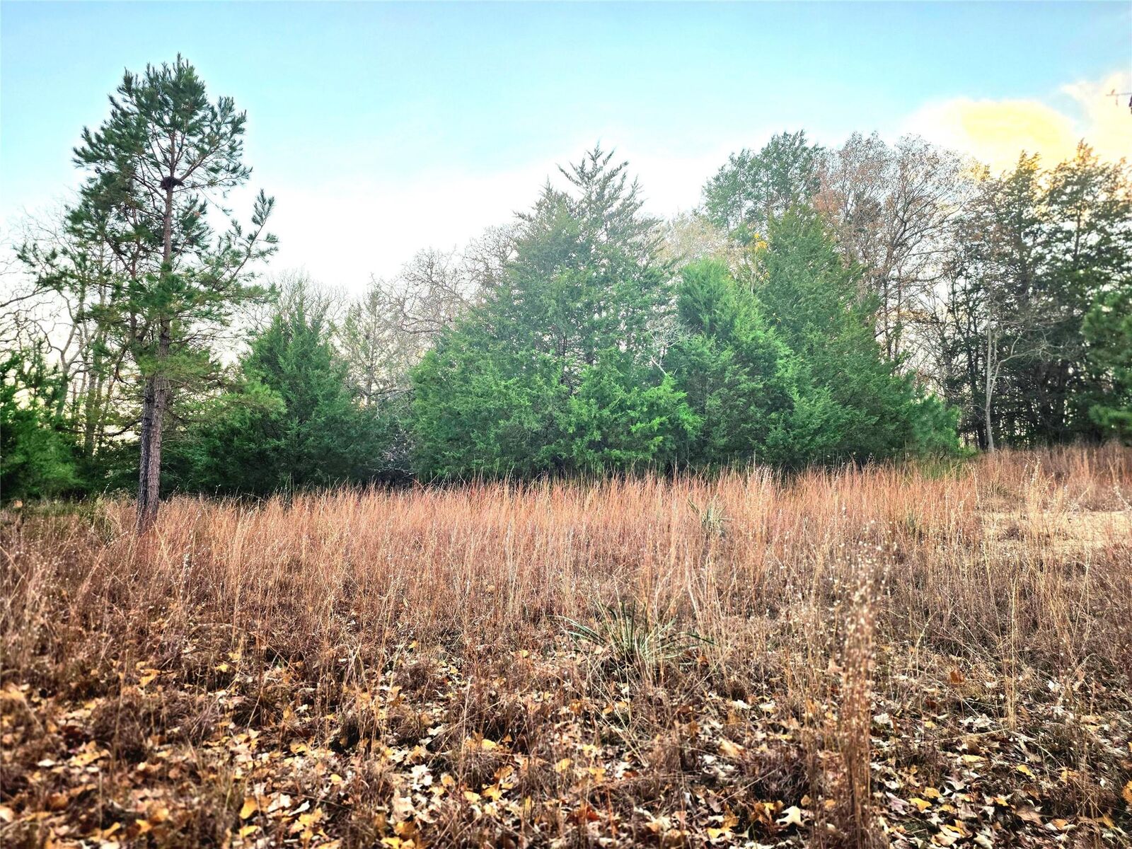 Property Photo:  0 Mallard Way  TX 75770 