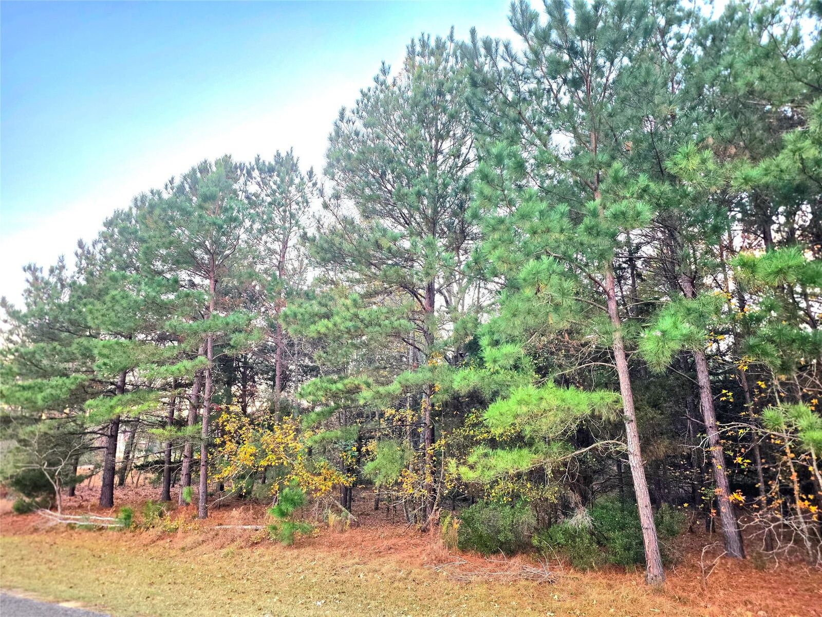 Property Photo:  0 Mallard Way  TX 75770 