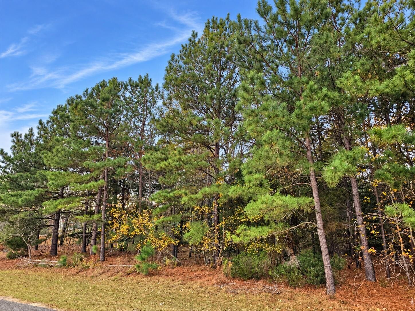 Property Photo:  0 Mallard Way  TX 75770 