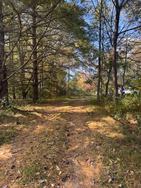 Property Photo:  215 Tom Taylor Road  KY 40701 