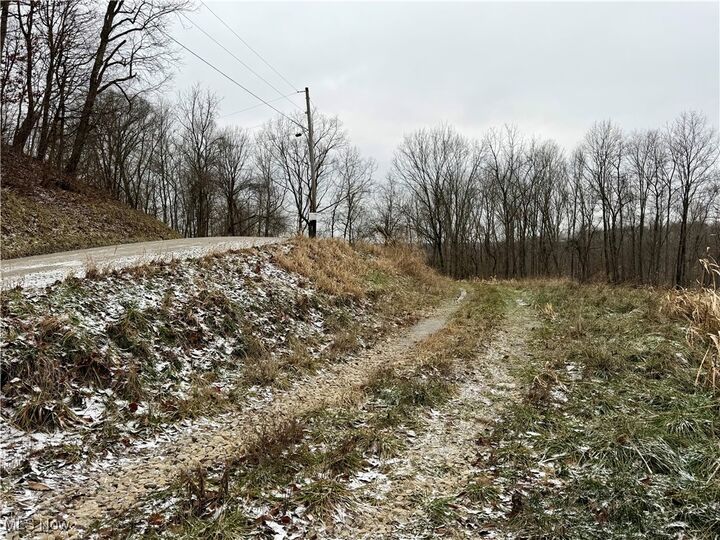 Property Photo: 0 Sealover Hollow Road OH 43771