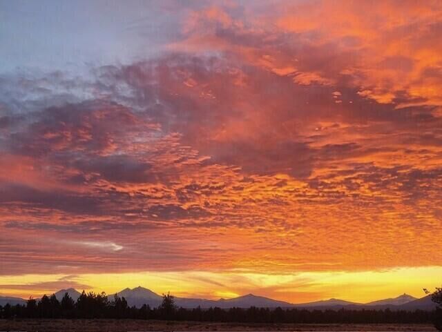 Property Photo:  8835 SW Equestrian Place  OR 97760 