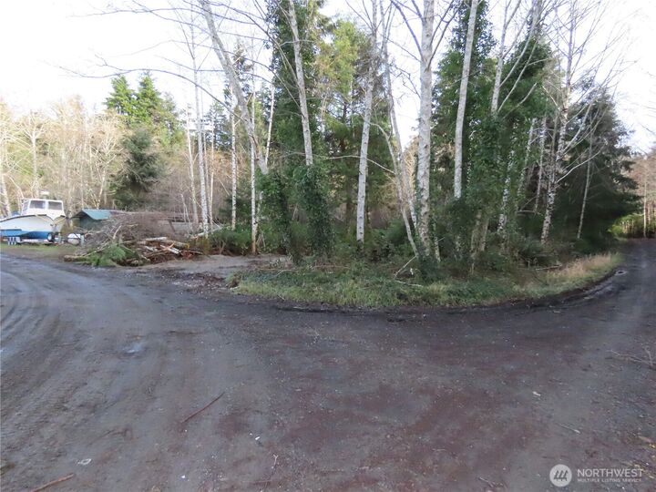 Property Photo:  0  Oregon Lane  WA 98520 