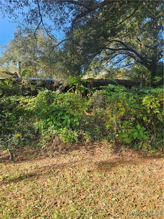 Property Photo:  1756 N Paul Drive  FL 34453 