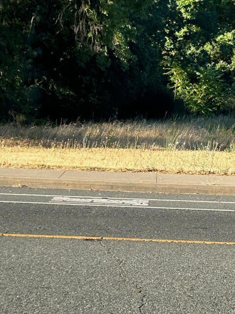 Property Photo:  5128 Shasta Dam Boulevard  CA 96019 