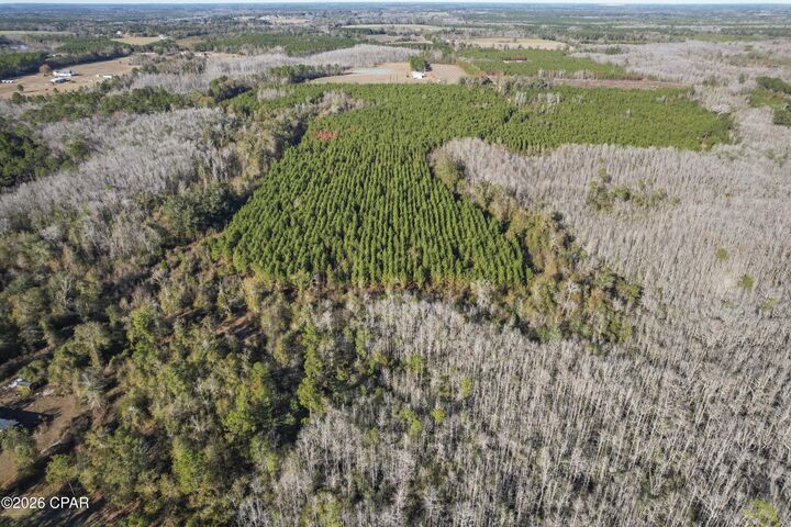 Property Photo:  0 New Prospect Road  FL 32428 