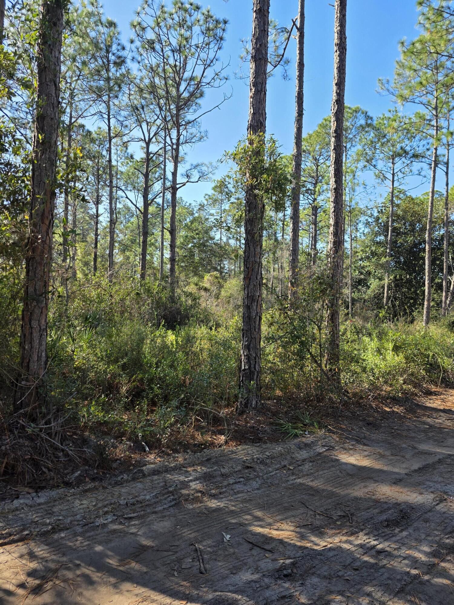 Property Photo:  Lot 25 Quail Park  FL 32459 