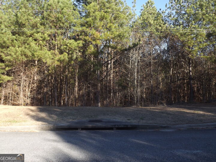 Property Photo:  Lot 4 Skyview Street  GA 30125 