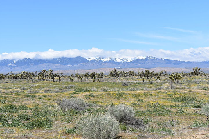 Property Photo:  Ave B12 Vic 151 Stw  CA 93536 