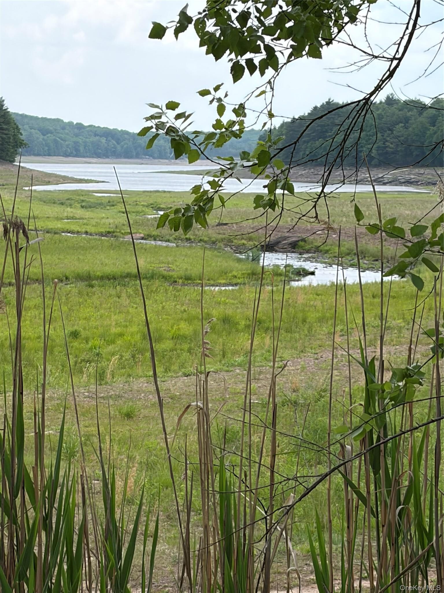 Property Photo: 00 Moscoe Road NY 12720
