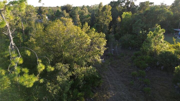 Property Photo:  27481 Senator Drive  FL 33955 