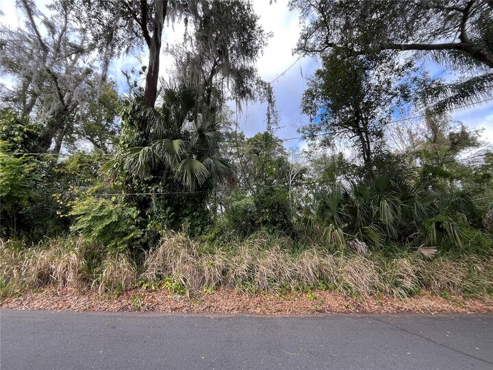 Property Photo:  0 E Fruitland Street  FL 34731 