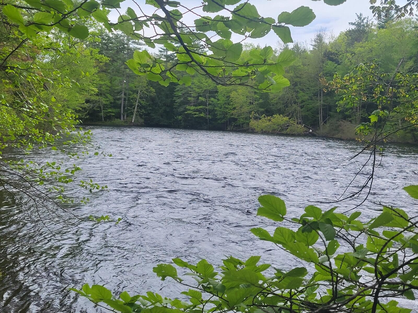 Property Photo:  R3-32 Ossipee Trail  ME 04068 