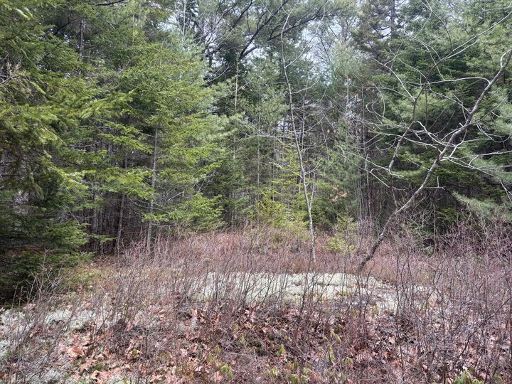 Property Photo:  M11l17c Rogers Point Road  ME 04680 
