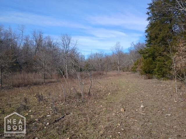 Property Photo:  2 E Wirth Rd  AR 72459 