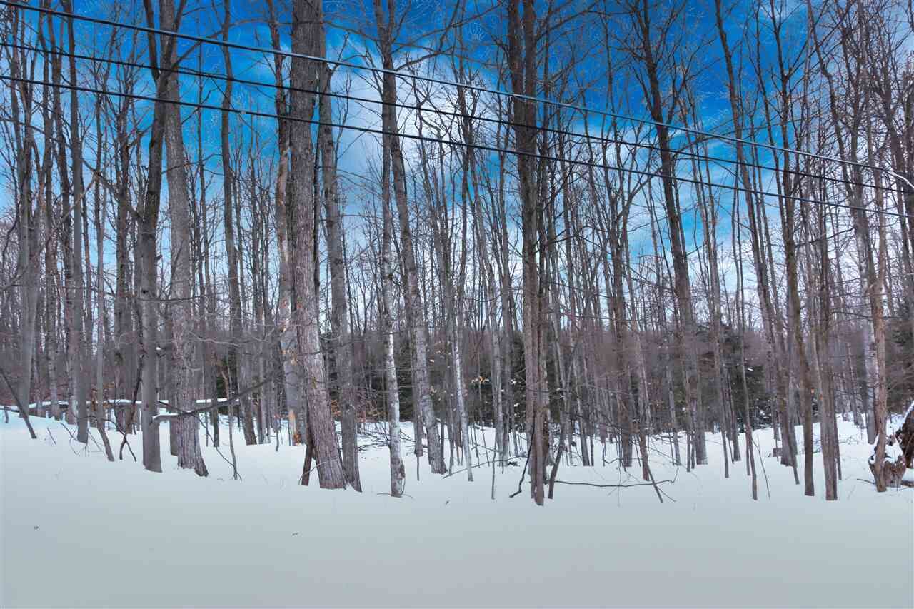 Property Photo:  Tbd Anderson Rd  MI 49712 