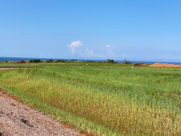 Property Photo: Lot 15 Harrison Street PE C0A 1N0