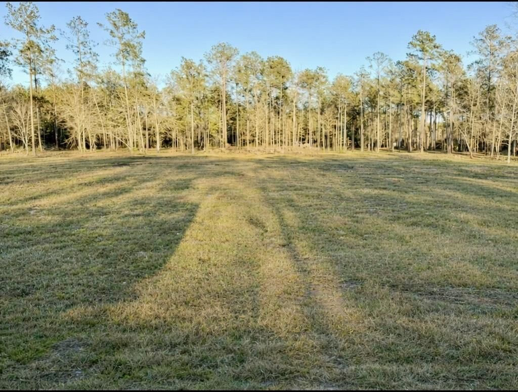 Property Photo:  9145 Bear Creek  TX 77625 