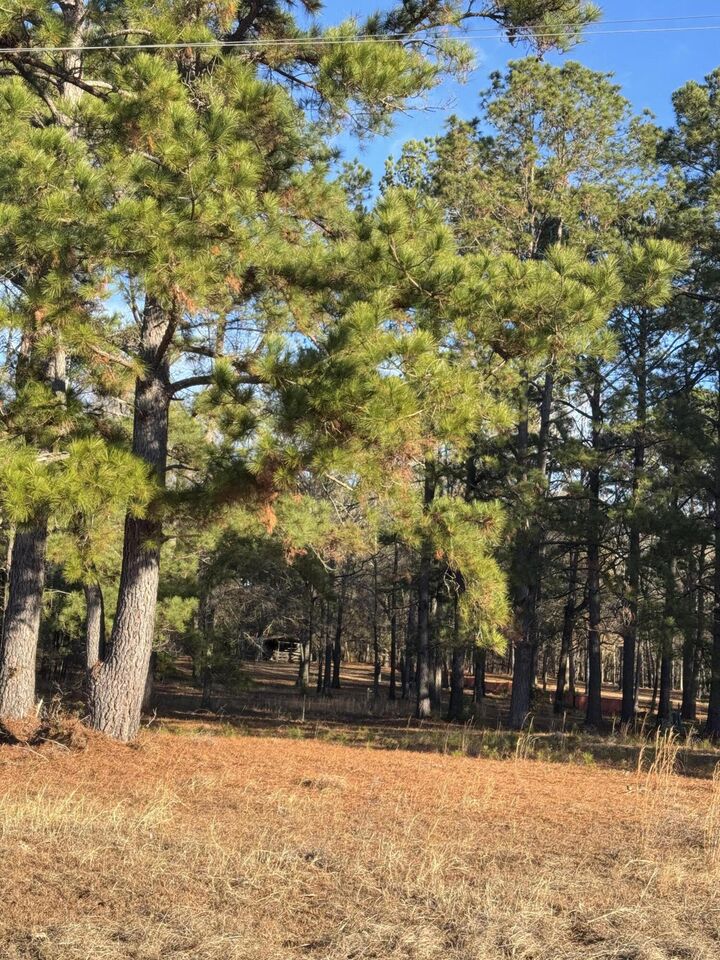 Property Photo: 00 Lake Marion Shores Road SC 29148