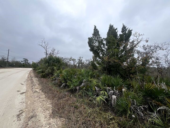 Property Photo:  15819 Sea Breeze Drive  FL 32348 