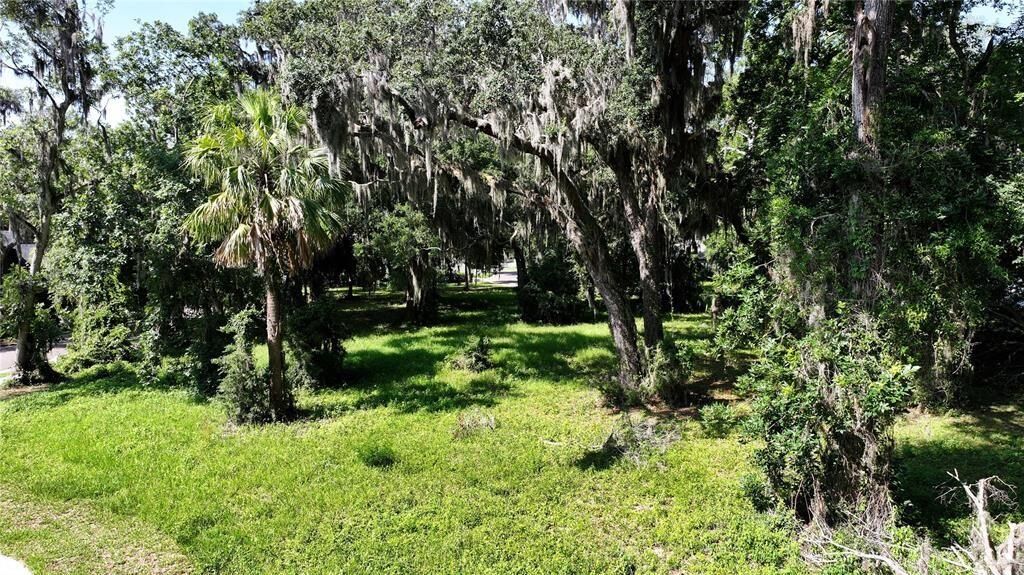 Property Photo:  28843 Grandview Manor  FL 32097 