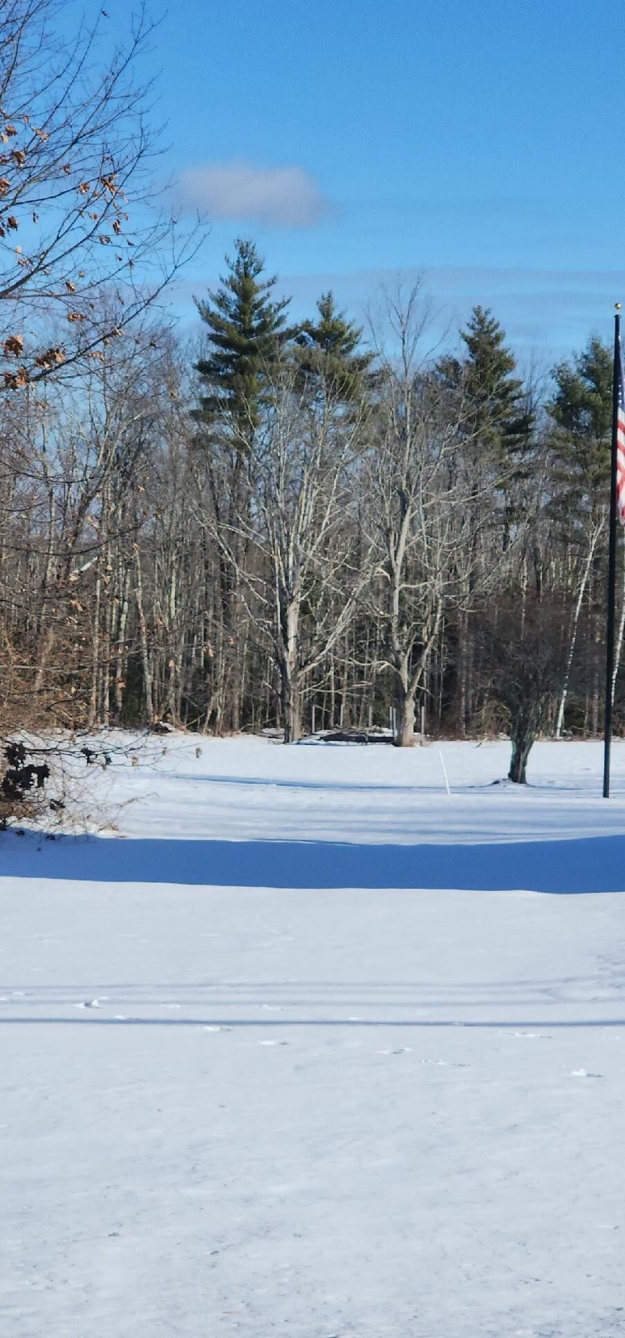 Property Photo:  0 Salmon Falls Road  NH 03868 