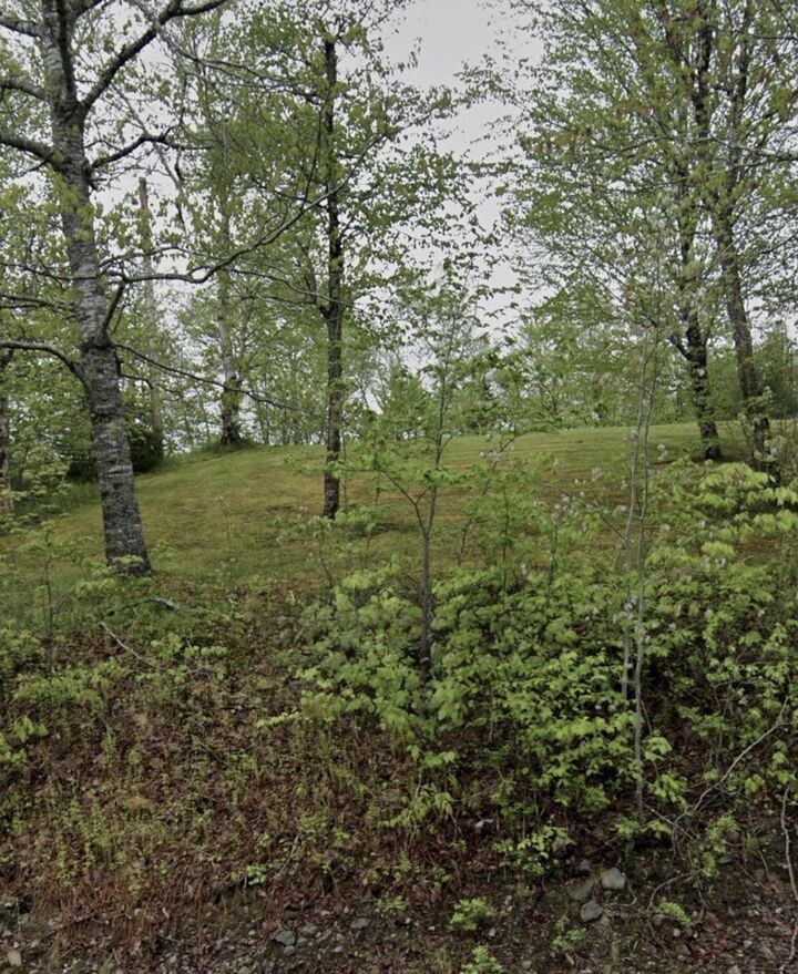 Property Photo:  51 Lead Mine Road  NS B0H 1E0 