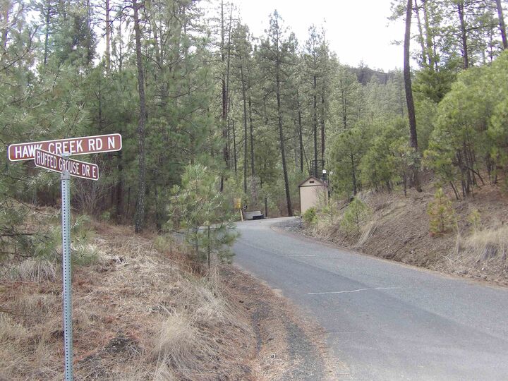 Property Photo: 31905 E Ruffed Grouse Dr WA 99122