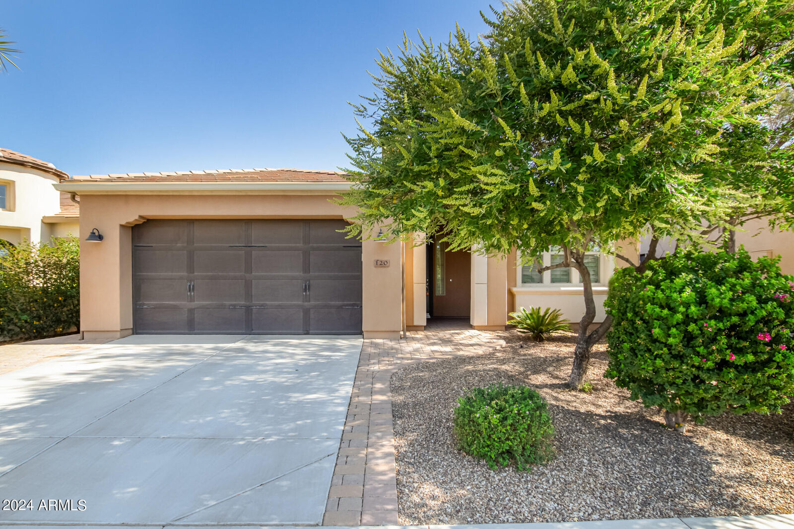 Property Photo: 120 E Camellia Way AZ 85140