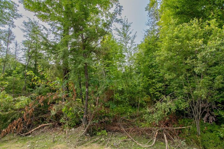 Property Photo:  Lot1 Bear Brook Subdivision  ME 04481 