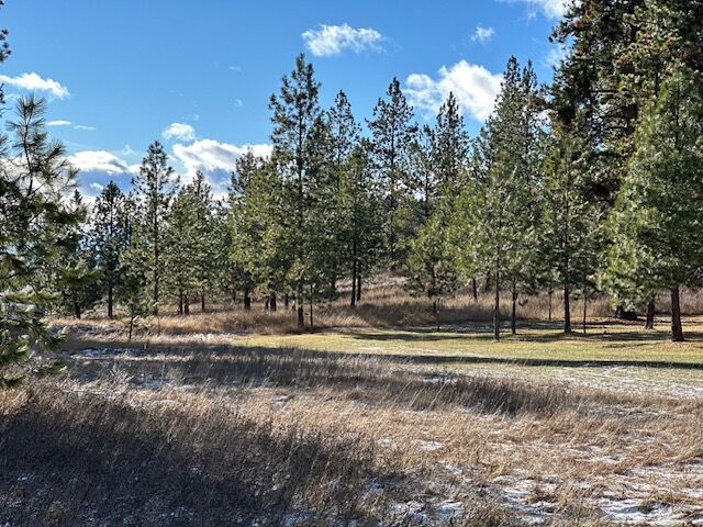 Property Photo: 31861 Meadow Road MT 59860