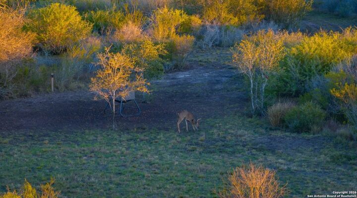 Property Photo:  000 W Air Base Rd  TX 77963 