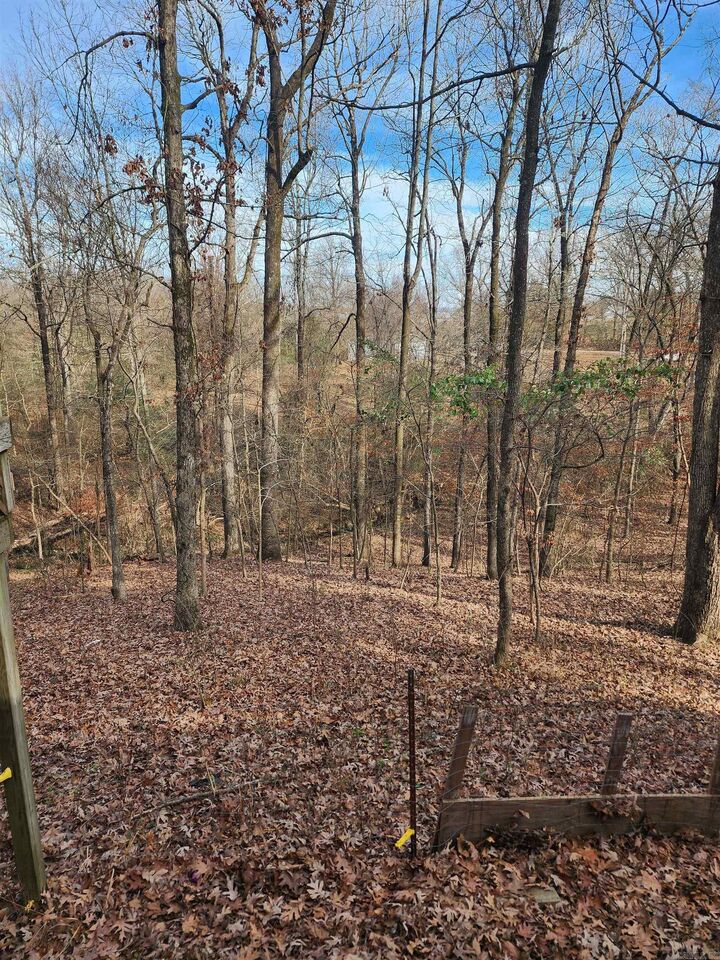 Property Photo:  3152 Polk Road 293  AR 71953 