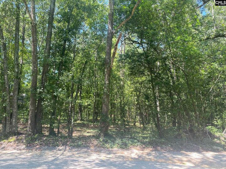 Property Photo: 0 Mathias SC 29169