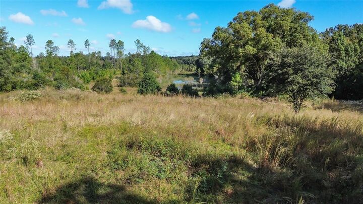 Property Photo:  Lot 6 Tree Frog Lane  FL 32736 