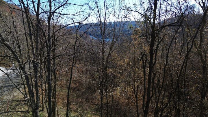 Property Photo:  86 Blackberry Ridge Way  TN 37166 