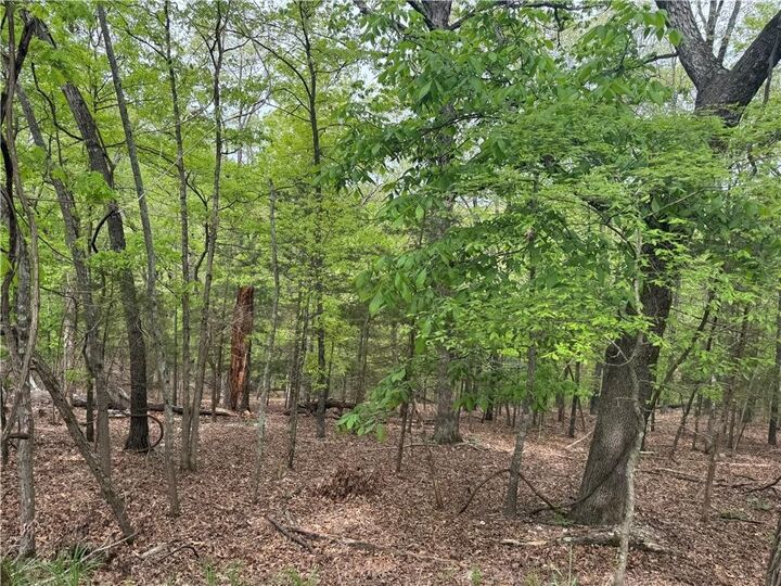 Property Photo:  L75 W Airport Drive  AR 72732 