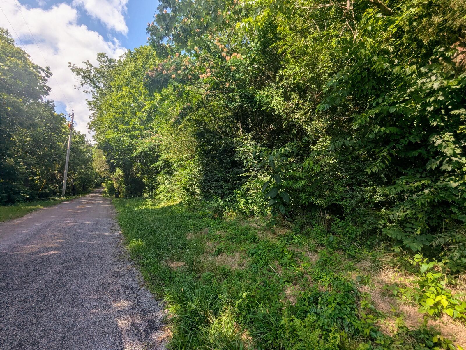 Property Photo:  0 County Road 493  TN 37331 