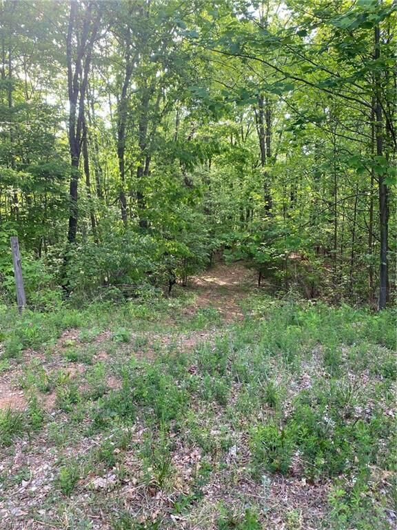 Property Photo:  00 Angle Street  NC 28665 